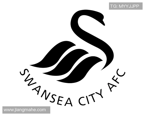 斯旺西足球俱乐部的辉煌历程与未来发展展望