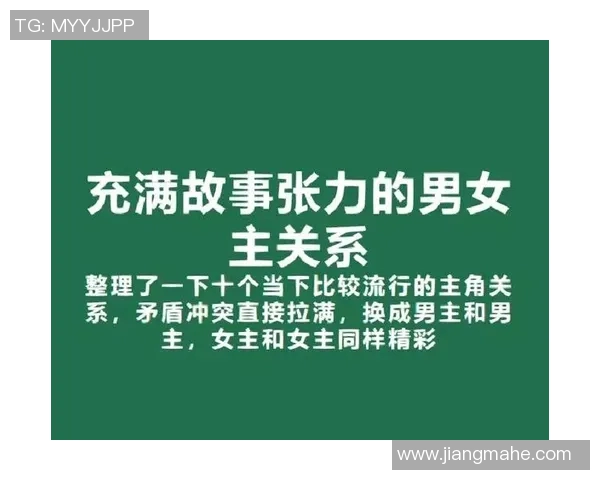 史鸿飞的传奇人生与时代变迁的交织探索