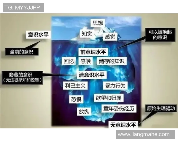 人球分过的哲学思考与生活启示：在纷繁世界中寻找自我与他人的平衡