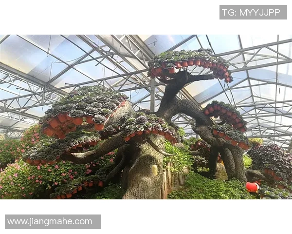 探索福利特伍德的独特魅力与文化价值，揭示其在现代社会中的重要角色与影响